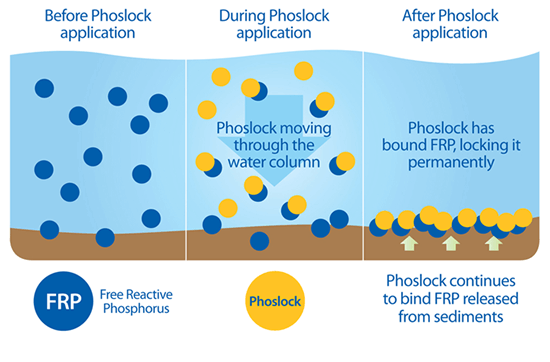 How Phoslock Works