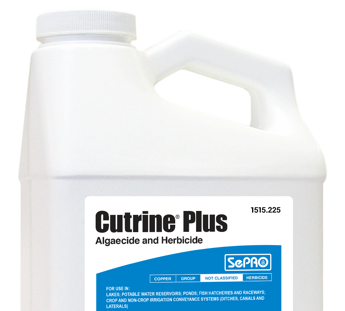 Cutrine Plus