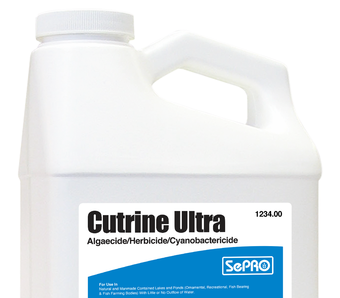 Cutrine Ultra