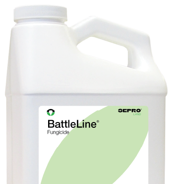 BattleLine